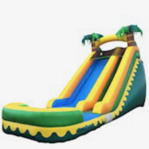 Palm Tree Waterslide 18ft