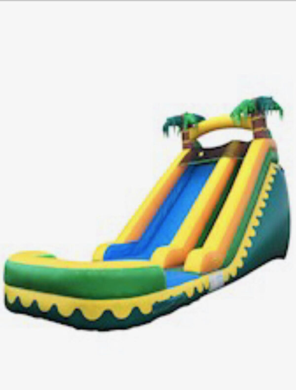 Palm Tree Waterslide 18ft