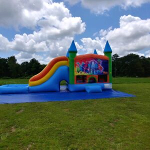 Combo Water Slide - Image 2